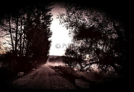 霧,黑暗的風景,早上