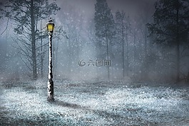 雪,戶外,自然