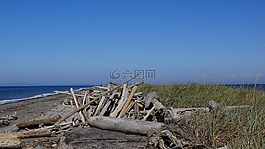 海洋,海,海灘