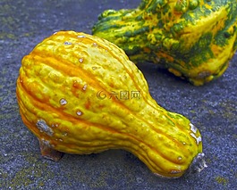 南瓜,葫蘆,秋季裝修