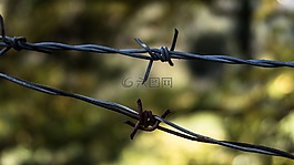鐵絲網(wǎng),電線,籬笆