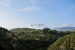 山,樹,植物