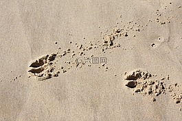 指紋,砂,痕跡