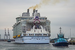 和谐的海洋,巡洋舰,港