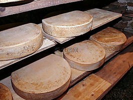 奶酪,硬奶酪,美味