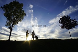 背光,天空,云