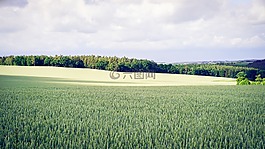 云,農(nóng)村,農(nóng)場