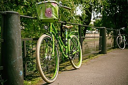 自行車,循環(huán),公園