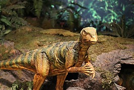 恐龍,動物園,侏羅紀(jì)