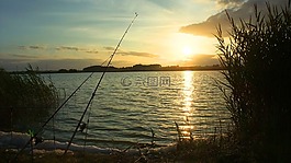 魚,晚上,日落