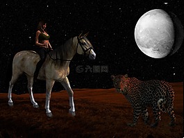 明星,行星,晚上