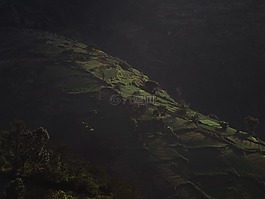 綠色,草,高原
