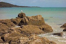 海,海岸,康沃爾郡