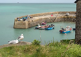海,海岸,康沃爾郡