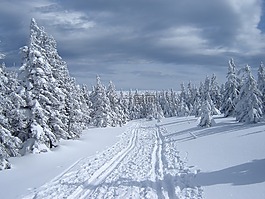冬天,路径,雪