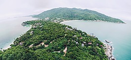山,樹,植物
