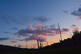日落,天空,樹