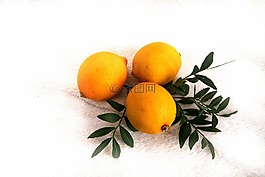 檸檬,氣味,食品