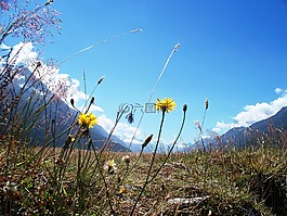 新西蘭,谷,景區(qū)