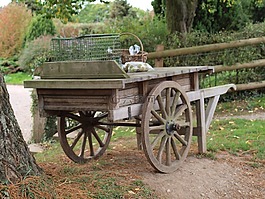 購物車,木barrow,農(nóng)場