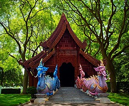 神秘生物,廟,大象