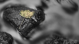 黑與白,河,性質(zhì)