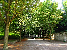 胡同,公園,性質(zhì)