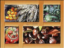 海報(bào),秋季,框架