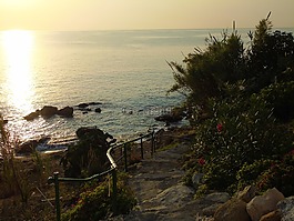 海灘,夏季,海