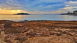tajamar,端口,檸檬