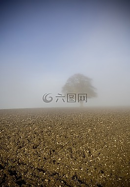 霧,露水,秋季