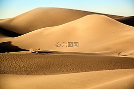 地理,沙漠,景觀