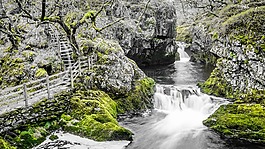 绿色,长时间曝光,ingleton
