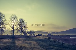 上午,湖,露營