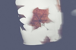 秋季,葉子,馬丁