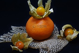 橙,酸浆,水果