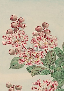 釀酒,水彩,畫