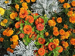 鲜花,blütenmeer,床