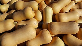 胡桃,南瓜,壁球