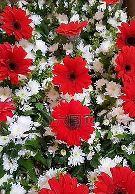 花,紅色,婚禮