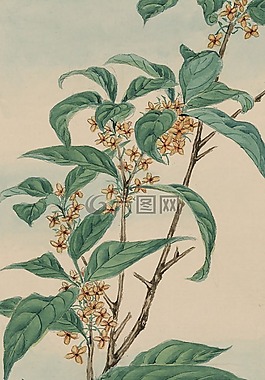釀酒,水彩,畫
