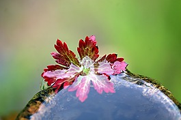 秋葉,自來水廠,水