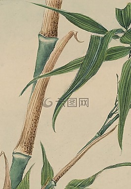 釀酒,水彩,畫