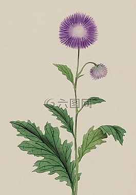 釀酒,水彩,畫