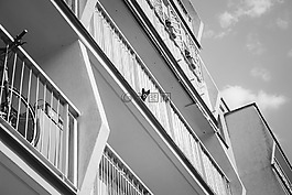 結構,建設,基礎設施