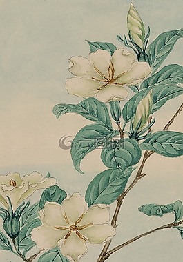 釀酒,水彩,畫
