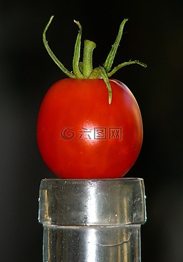 番茄,水果,蔬菜