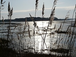 清晨,現(xiàn)場,水