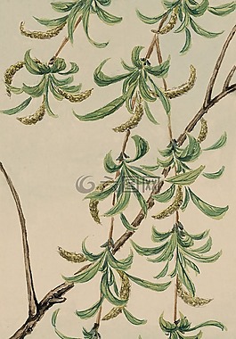 釀酒,水彩,畫(huà)