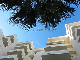 復(fù)雜的酒店,酒店,棕櫚樹
